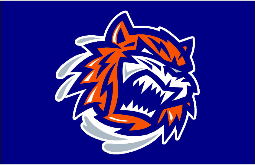 Bridgeport Sound Tigers 2010-Pres Jersey Logo vinyl decal